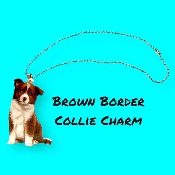 Cute Brown Border Collie Acrylic Keychain – Adorable Dog Hanging Ornament - Picture 2 of 5